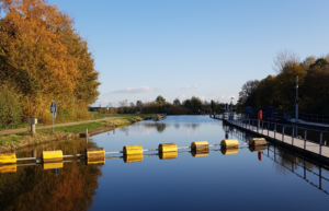 Oude IJssel bij Gaanderen